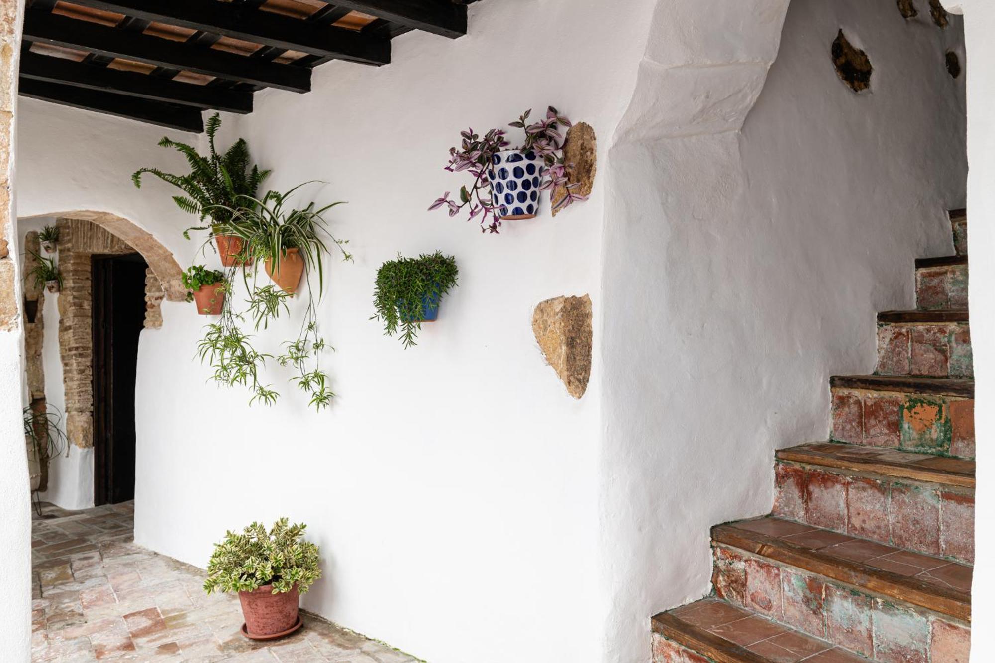Casa Lunarito Vejer de la Frontera Buitenkant foto
